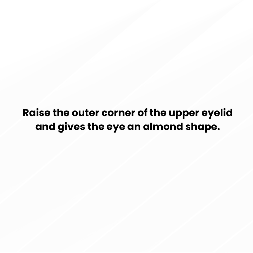 plastic surgery (1400 x 580 px) (Post de Instagram) (48)